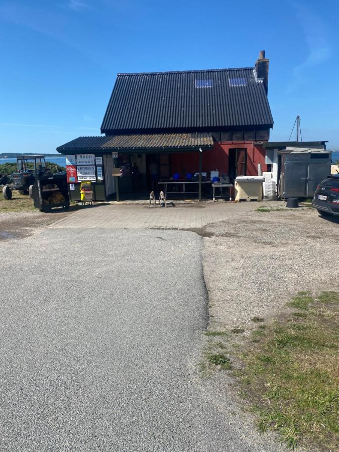 Nyhus, Dragsmur, Mols 克内贝尔 外观 照片